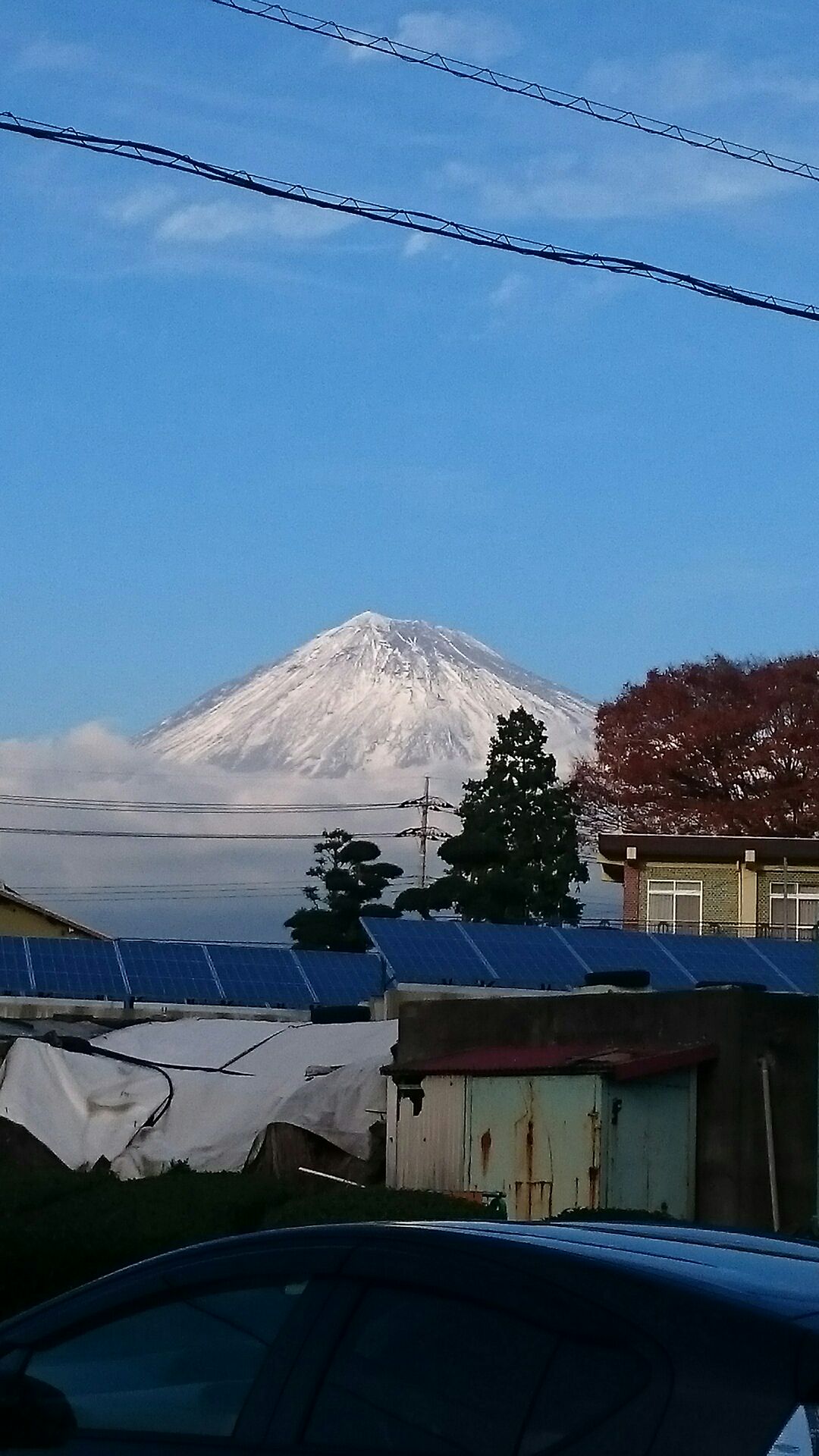 期末テストにむけて 家庭教師学参 千葉県のブログ